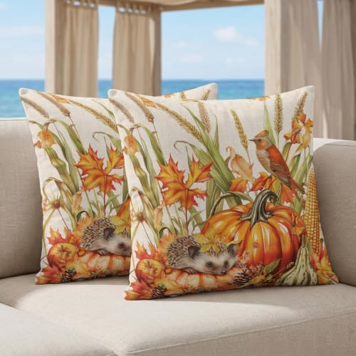 Thanksgiving Pumpkin Wheat Hedgehog Silk Satin Pillowcases Pack of 2