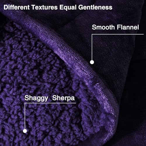 Aemicion Weighted Blanket (10lbs, 48"x72",Purple on Both Sides),Cozy