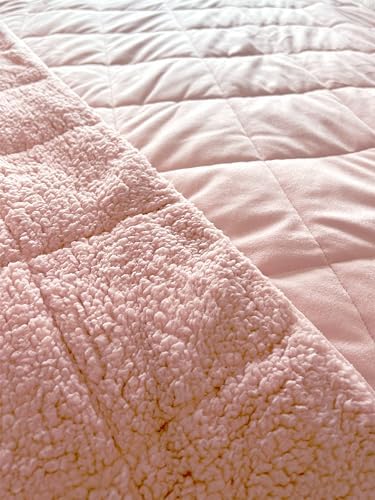 Sherpa Weighted Blanket for All Season,Both Sides Pink 10Lbs