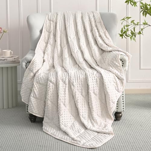 Mr. Sandman Weighted Blanket for Adults, Queen Size 20 lbs