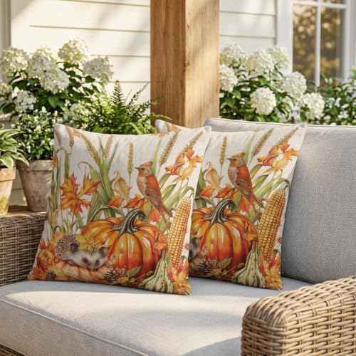 Thanksgiving Pumpkin Wheat Hedgehog Silk Satin Pillowcases Pack of 2