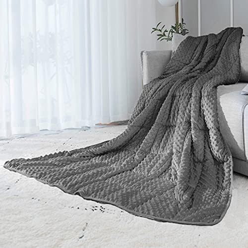 ALANSMA Reversible Weighted Blanket for All Season, Luxury Velvet