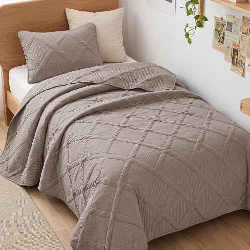 Exclusivo Mezcla 2-Piece Soft Twin Size Quilt Bedding Set, Taupe