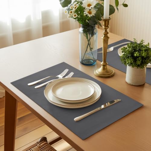 Charcoal Gray Placemats Set of 8, Vintage Minimalist Solid Color Micro