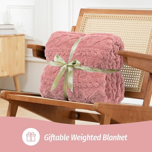 Wemore Weighted Blanket for Adults Queen Size 15 lbs 60"x80" Apricot
