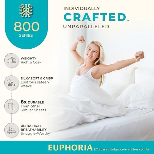 THREAD SPREAD 800 Series Egyptian Cotton Sheets Queen Size Set, Teal