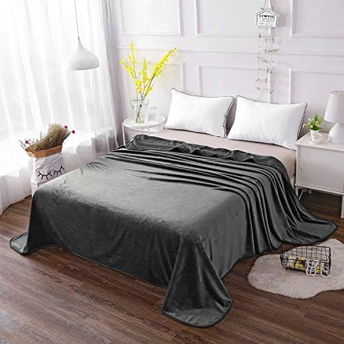 Soft Queen Size Blanket for All Season Warm Fuzzy Microplush