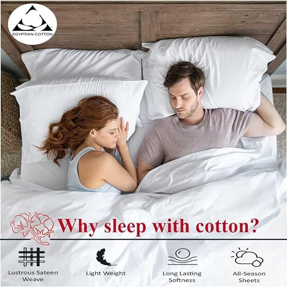 100% Egyptian Cotton 800 Thread Coun 1 Piece Fitted Sheet Twin XL Size