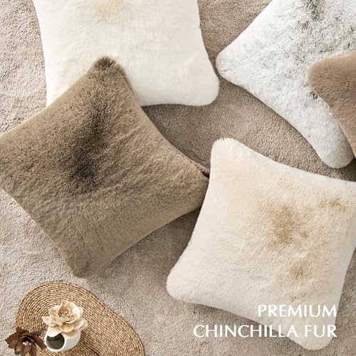 EVERGRACEHOME Luxury Soft Faux Chinchilla Fur Throw Blanket 60”x80”