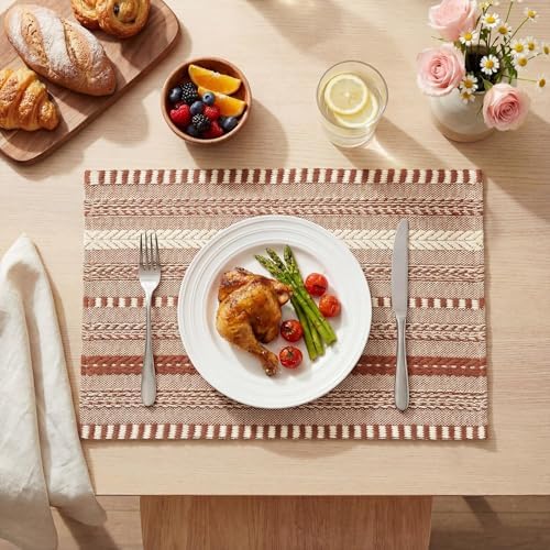Artoid Mode Caramel Woven Braided Stripe Placemats Set of 6-12x18 Inch