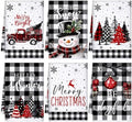 Bencailor 6 Pcs Christmas Kitchen Towels, Black White Plaid