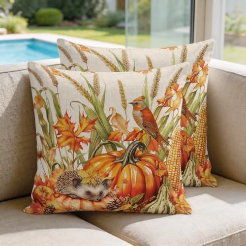 Thanksgiving Pumpkin Wheat Hedgehog Silk Satin Pillowcases Pack of 2