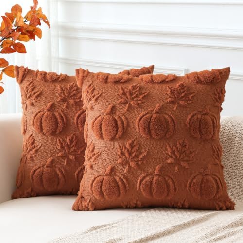 OTOSTAR Fall Pillow Covers Set of 2 Autumn Pumpkin Maple Leaves Throw