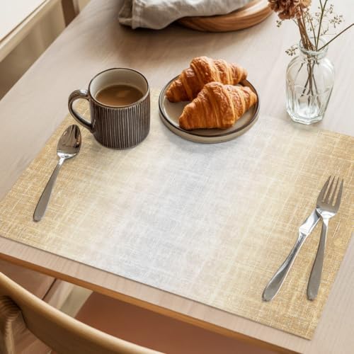 Sand Beige Placemats Set of 2 Summer Tan Zen Ombre Linen Texture