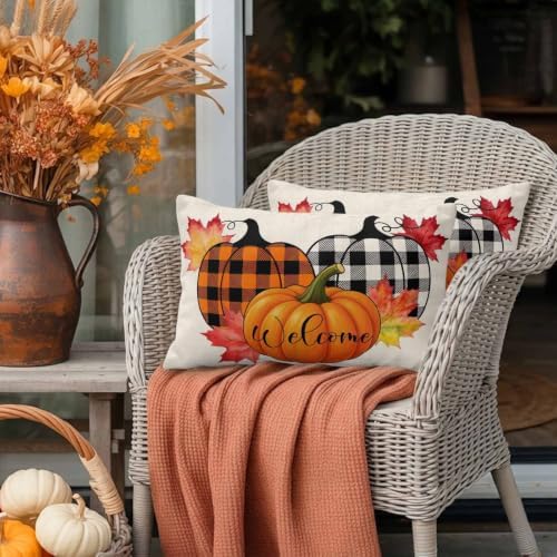 Welcome Outdoor Waterproof Throw Pillow Covers Set of 2, 20"x12", Fall