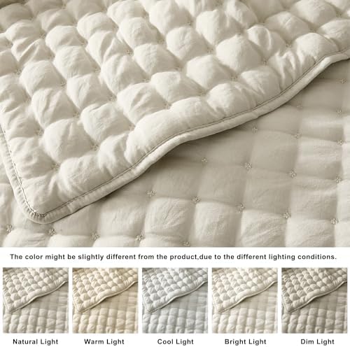 WDCOZY Cloud Soft Quilt Set, King Size, Light Beige, 3 Pieces 104x90