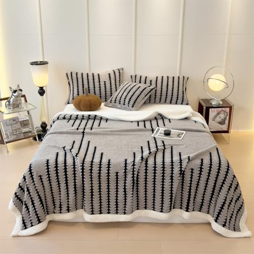 Blanket Fleece Throw Blanket for Couch, Flannel Cozy Thick Warm Soft