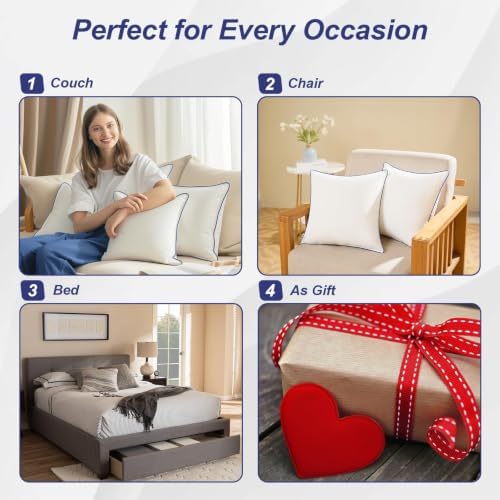 20x20 Pillow Inserts Set of 2, Soft Hypoallergenic Square Throw Pillow