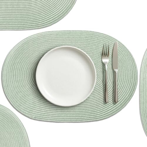 AHHFSMEI Placemats Set of 8 for Dining Table Washable Woven Non-Slip