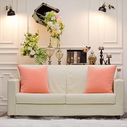 Set of 2 Comfortable Throw Pillow Cover for Bedding, Decorative Accent