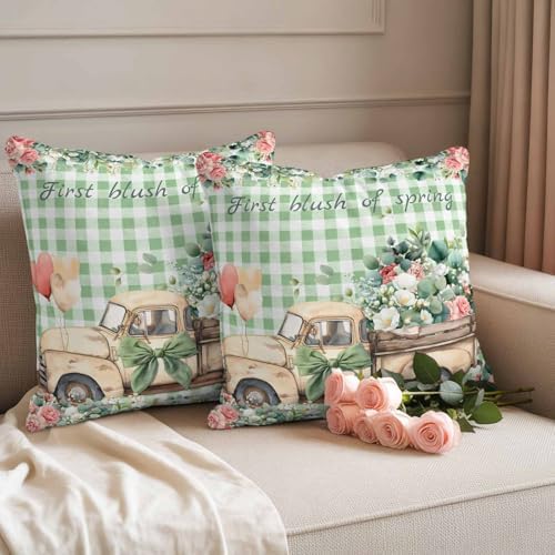 Eucalyptus Trucks Outdoor Pillow Covers Waterproof, All Weather