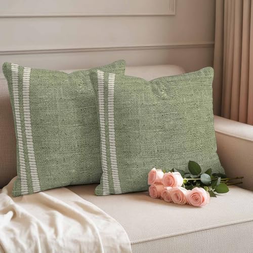 Sage Green Outdoor Waterproof Throw Pillow Covers Set of 2-18x18 Inch