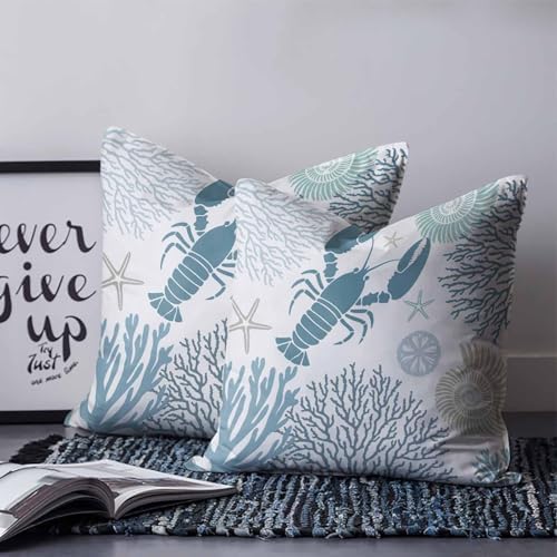 Pillow Covers 20x20 Set of 2, Teal Blue Coastal Square Throw Pillow