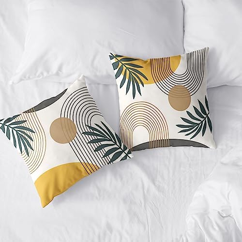 2 Pack Abstract Boho Pillow Covers 20x20 Mid Modern Decorative Pillow