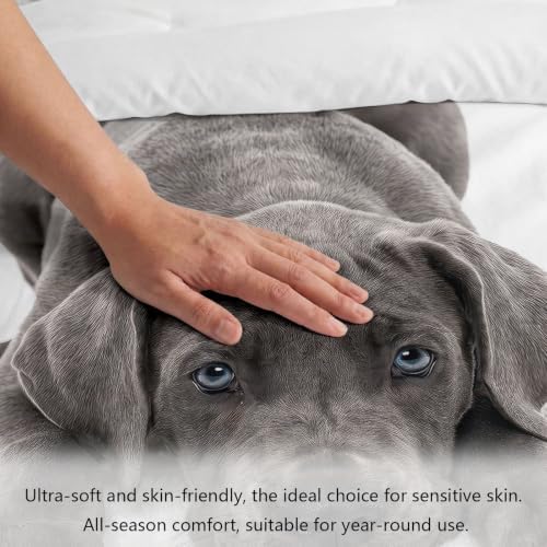 King Duvet Cover Set Soft Microfiber Animals Great Dane