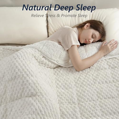 Mr. Sandman Weighted Blankets for Adults, Queen Size 60 x 80 Inches