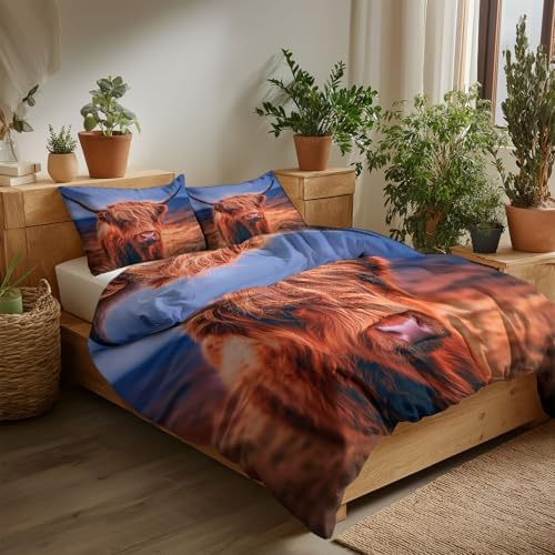 Duvet Cover Queen Size, Reversible King Duvet Cover Set with