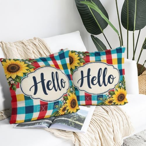 House Plaid Pillow Covers 22x22 Inch Set of 2 Linen for Farmhouse