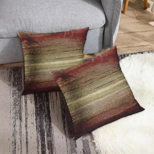Emvency Throw Pillow Covers Set of 2, 22 x 22 Inch, Tribal Brown