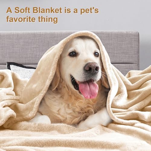 DREAMNINE Extra Large Fleece Blanket Soft Comfy Fluffy Bed Blankets