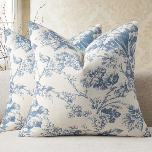 Buenohuas Farmhouse Decorative Pillow Covers 22x22 Set of 2, Vintage
