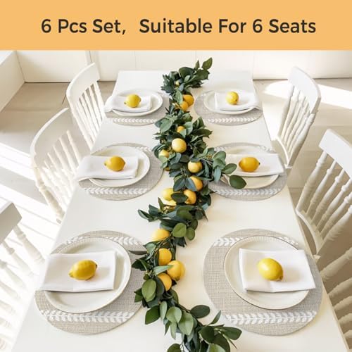 Minimalist Oatmeal Stripe Round Braided Placemats Set of Set of 8 Heat