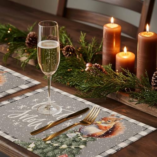 Placemats Set of 8, Christmas Tree Squirrel Winter Snowflake Washable