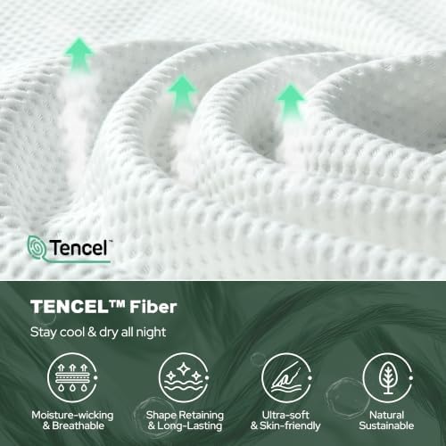 BEDLORE Queen Mattress Topper, Soft TencelTM Blend Pillow Top Mattress
