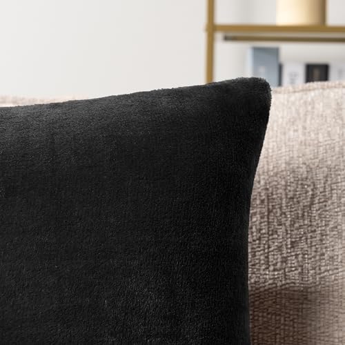 PAVILIA Black Decorative Throw Pillow Covers 18x18 Set of 2, Plush