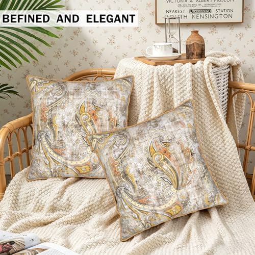 Paisley Floral Velvet Pillow Covers Set of 2 20x20 Inch Vintage White