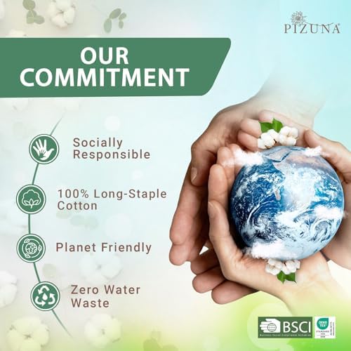 Pizuna 100% Cotton Sheets Set Twin 400 Thread Count Baby Blue