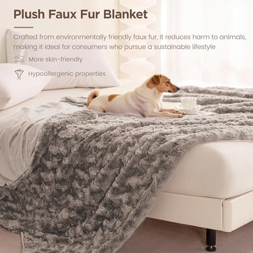 Sophia & William, Brushed Faux Fur Throw Blanket, 60 x 80, Light