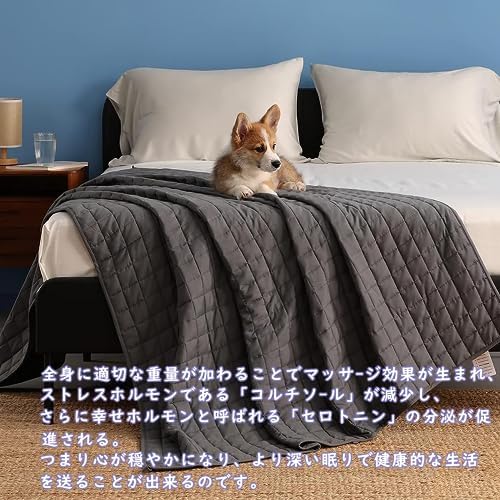 YnM 12lbs Weighted Blanket for Adults, 48x72 Inches, Dark Grey