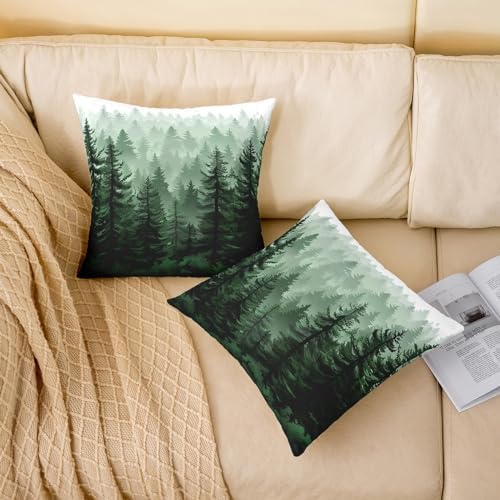 Feelyou Fog Forest Throw Pillow Covers Decorative Soft 22" x 22"