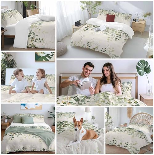 Sage Green Bedding 3 Piece Duvet Cover Set Queen Size, Eucalyptus