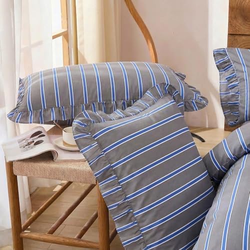 Merryword Blue and Gray Striped Duvet Cover Set King Size, 100% Cotton
