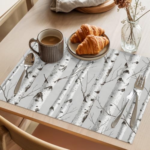 Nature Birch Trees Placemats Set of 6 Modern Gray Modern Tree Bark