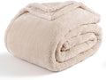 Berkshire Blanket Classic Extra-FluffyTM Plush Blanket King Size, Soft