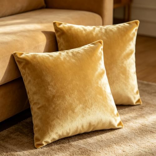 Bunliuys 2 Pack 20x20 Pillow Cover Velvet Pillow Covers, Throw Pillow