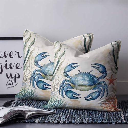 Pillow Covers 20x20 Set of 2, Blue Teal Crab Coastal Square Throw